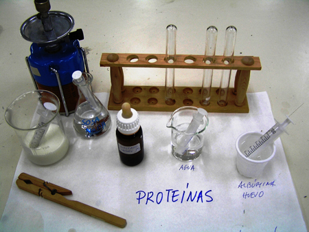 proteinas materiales