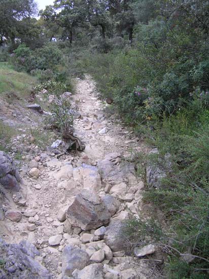 arroyo