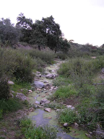 arroyo