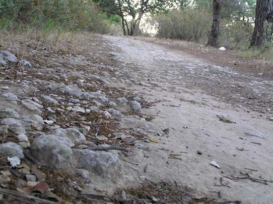 calzada