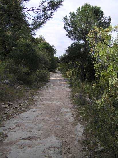 calzada