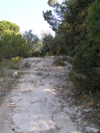calzada