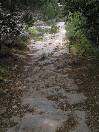 calzada2