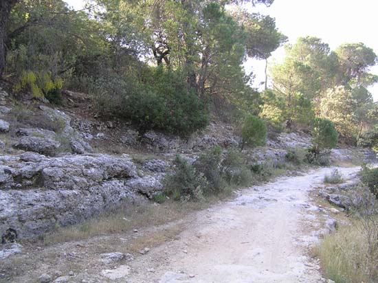 camino