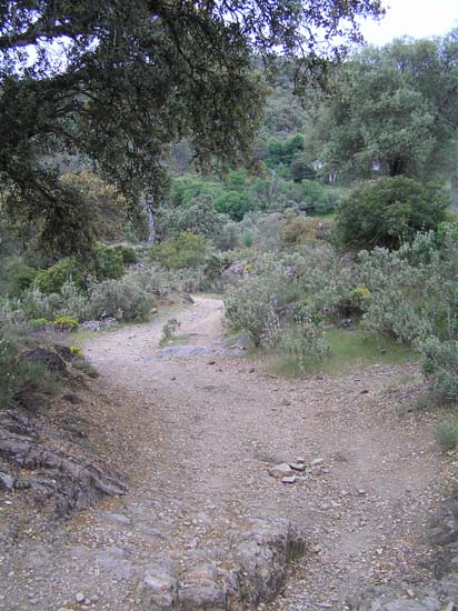 camino