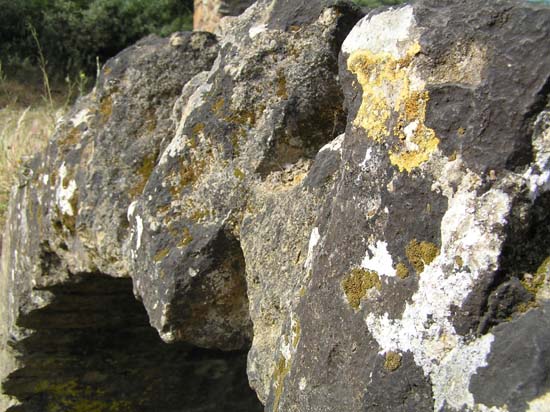 detalle