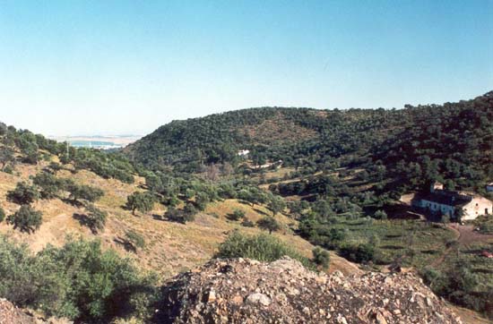 pan