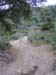 camino