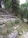escalones2